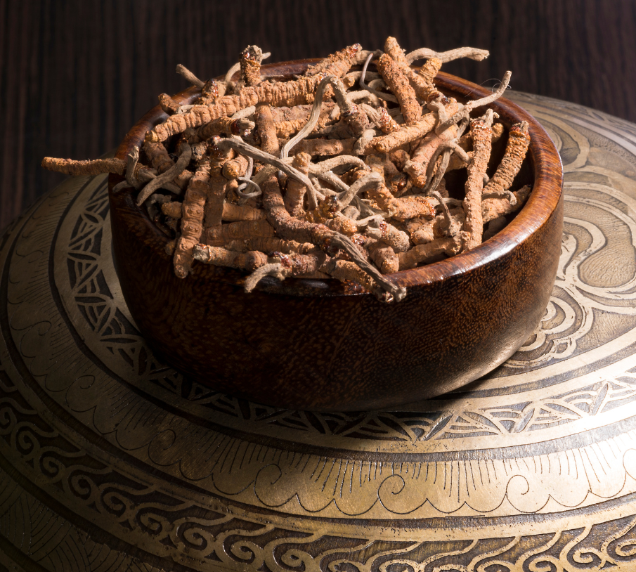 Freeze-Dried Cordyceps Militaris